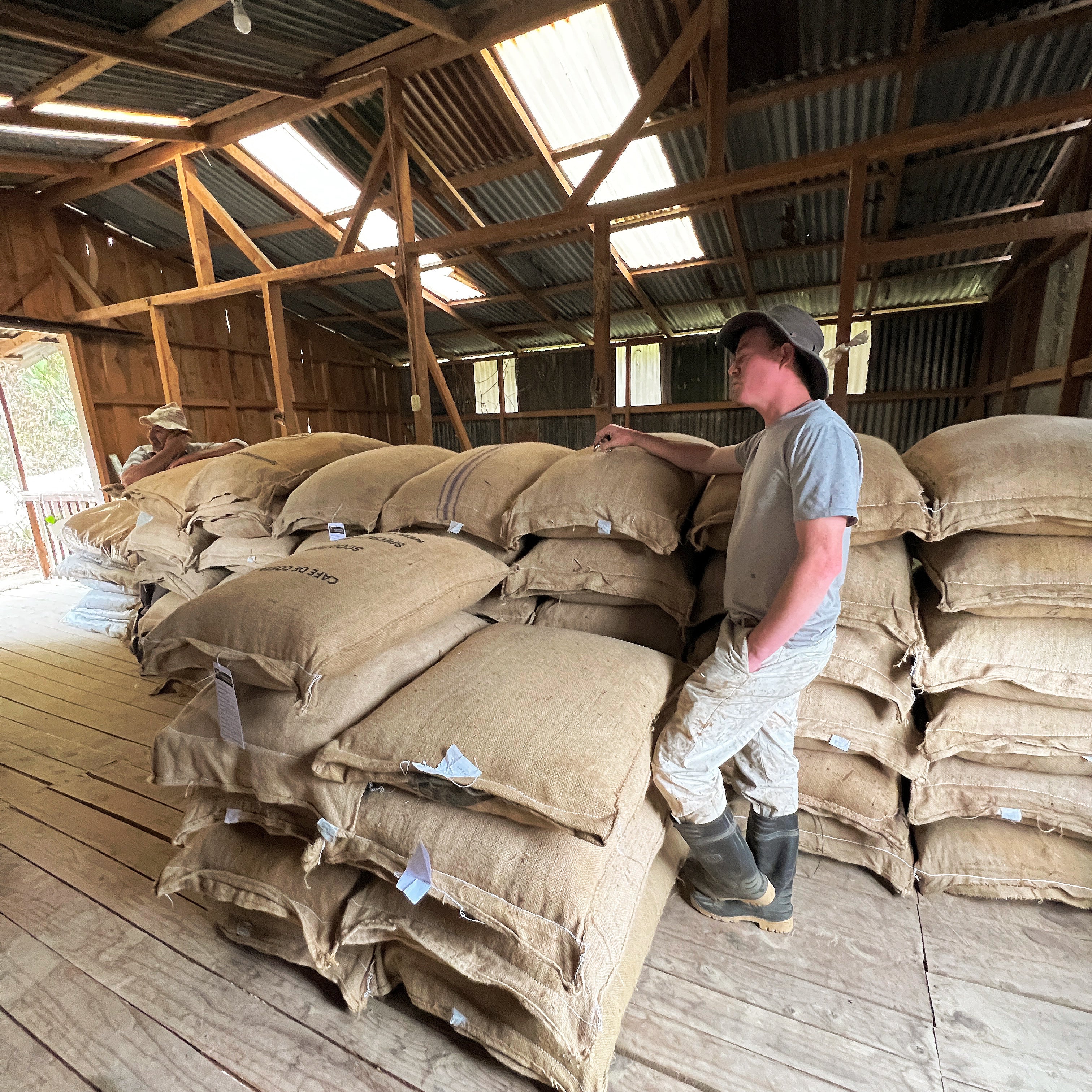 Direct Trade vs. Fair Trade Coffee What's the Difference? Transcend
