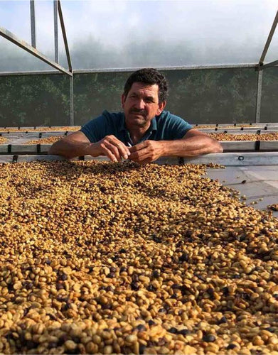 Coffee processing in Costa Rica