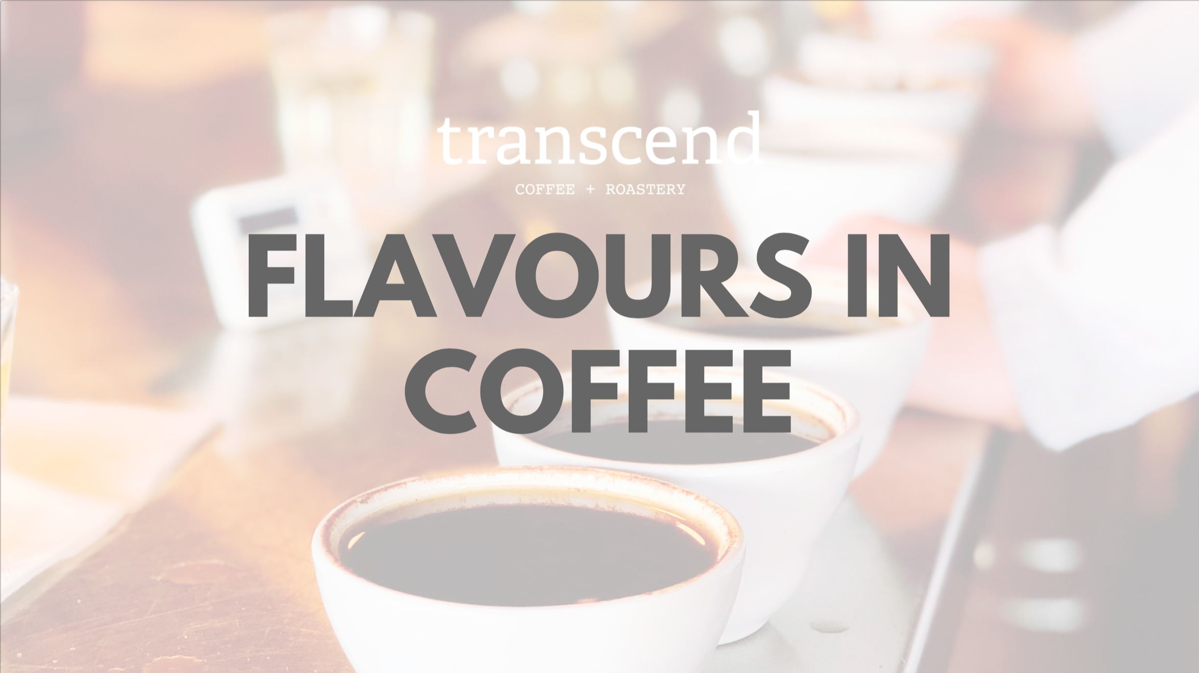 Flavours in coffee Transcend Coffee & Roastery
