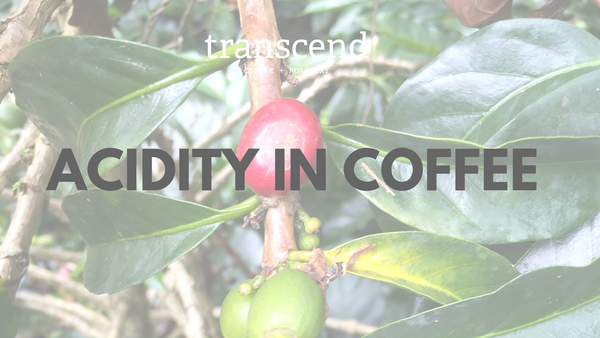 Acidity in Coffee