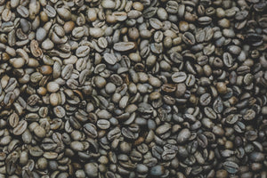 Raw Green Coffee