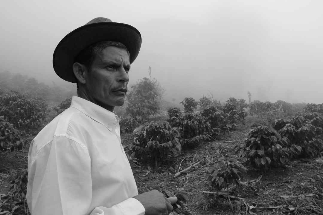 B&W Photo of coffee farmer in Honduras