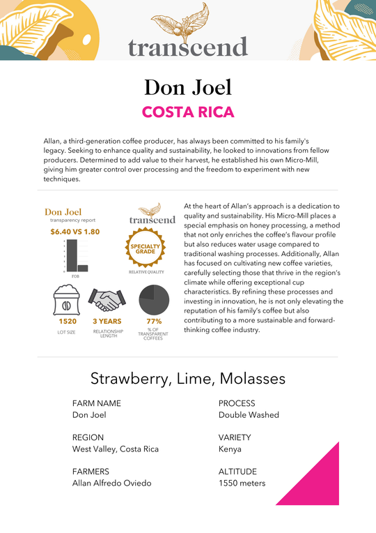 Transcend Coffee Don Joel Info Sheet
