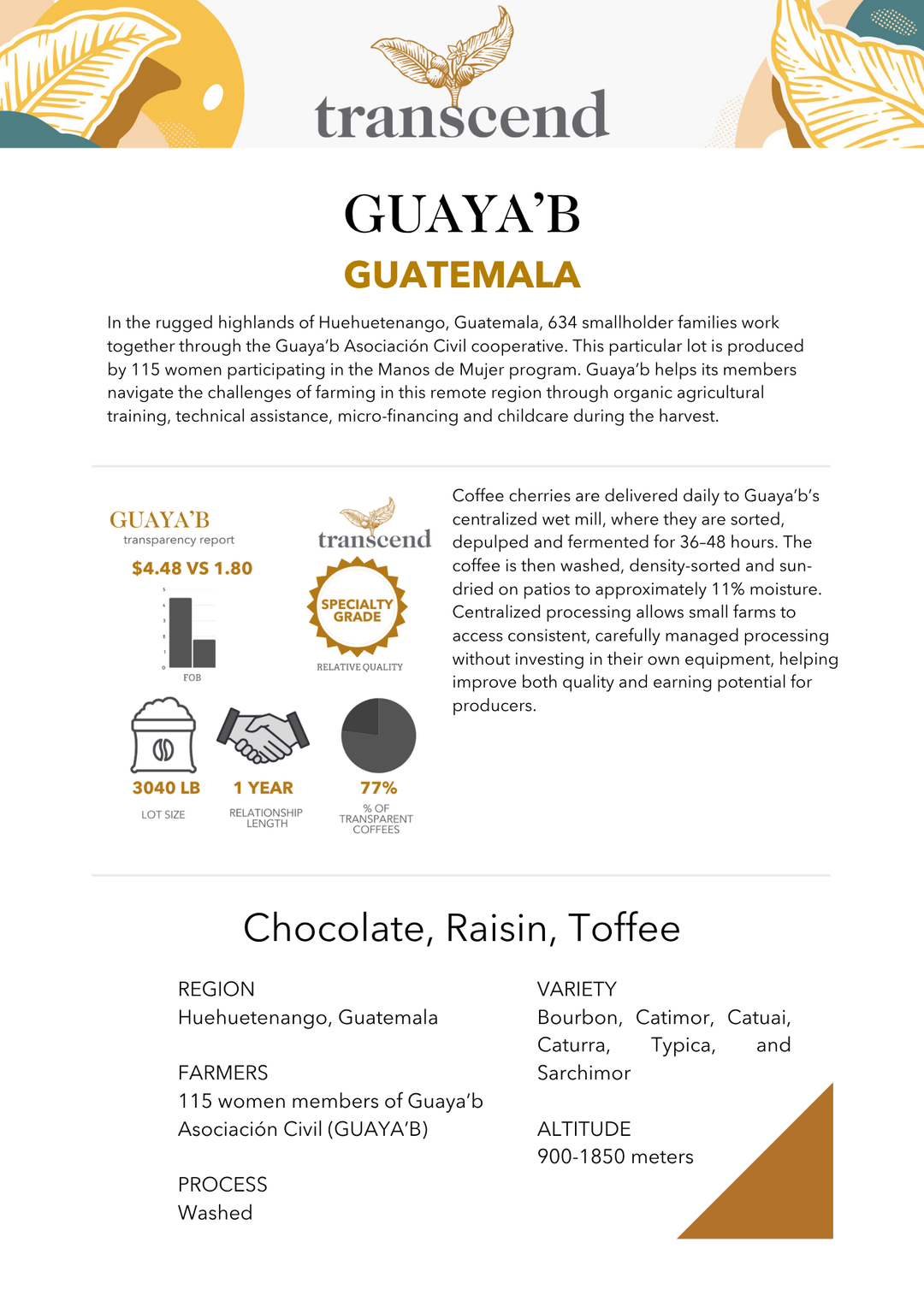 GUAYA'B - Guatemala