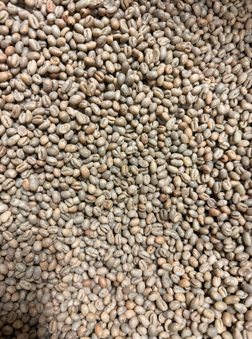 Green Heza Peaberry