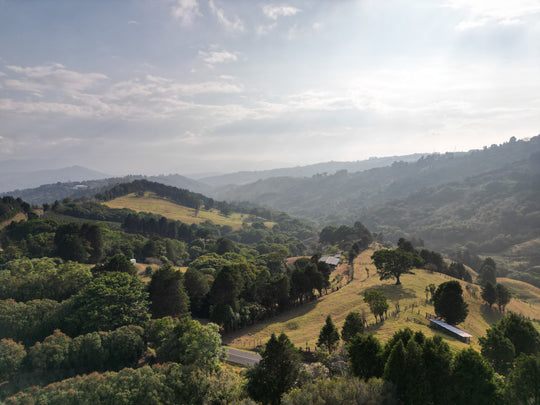 A scenic landscape photograph of rolling green hills, dense trees, and a cloudy sky with soft sunlight filtering through the air.
