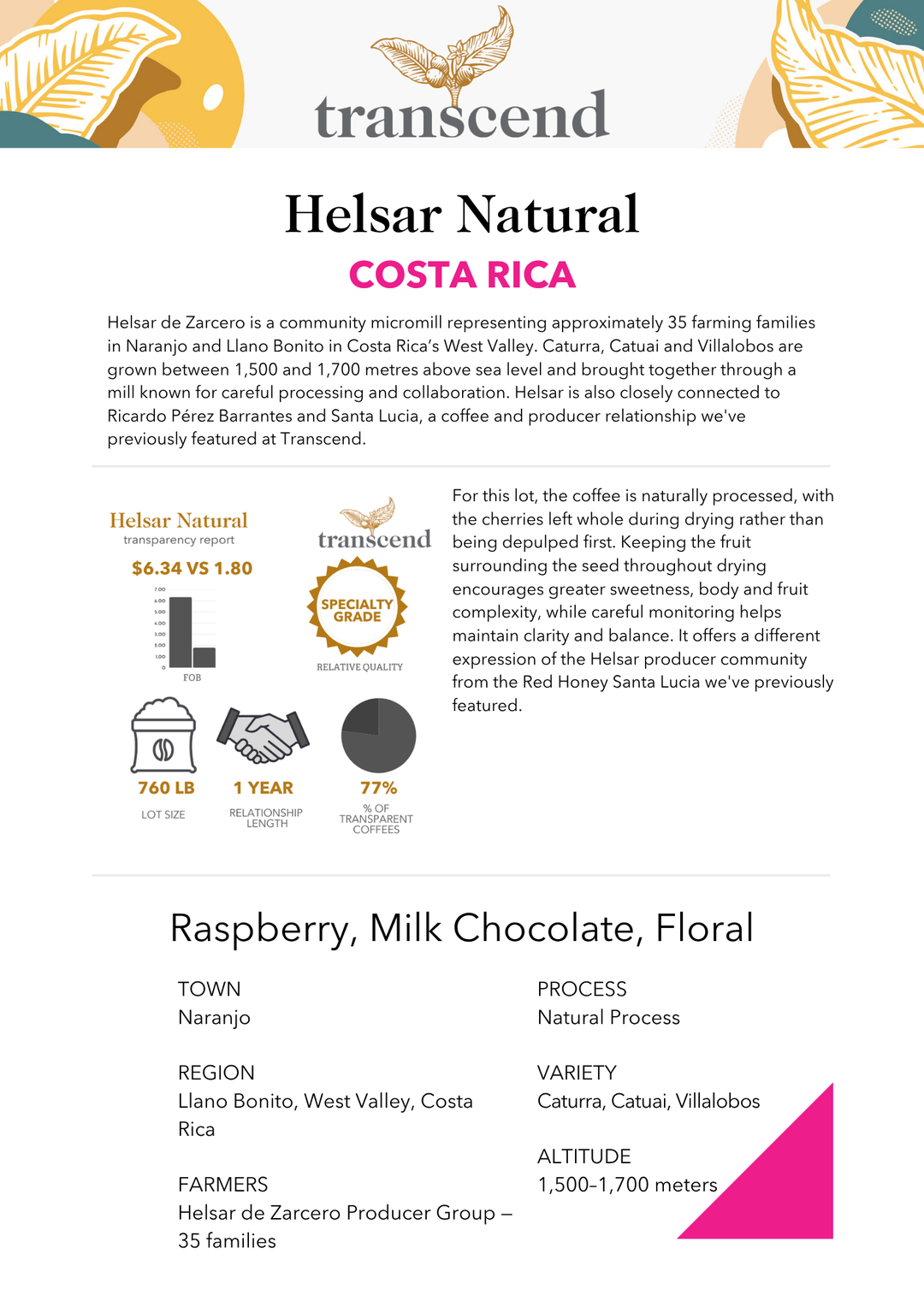 Transcend Coffee Helsar Natural Info Sheet. 