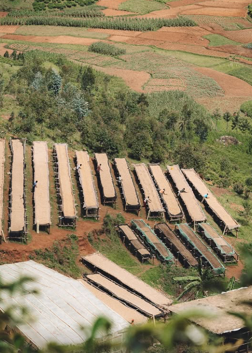 Heza washing station, Kayanza, Burundi