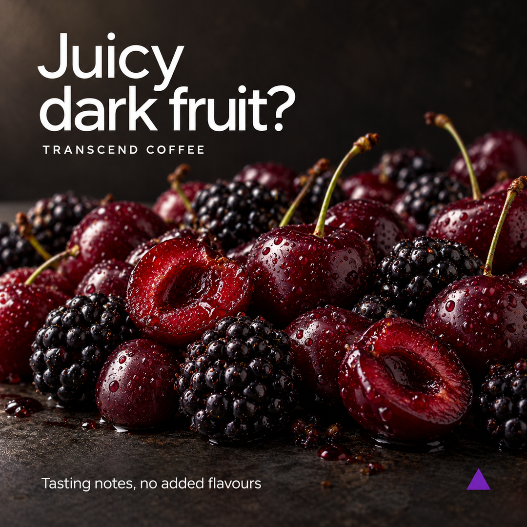 A close-up of fresh dark cherries and blackberries on a dark surface with large text reading 'Juicy dark fruit?' and 'Transcend Coffee' above it. Small text at the bottom says 'Tasting notes, no added flavours' and a small purple triangle appears in the lower right corner.