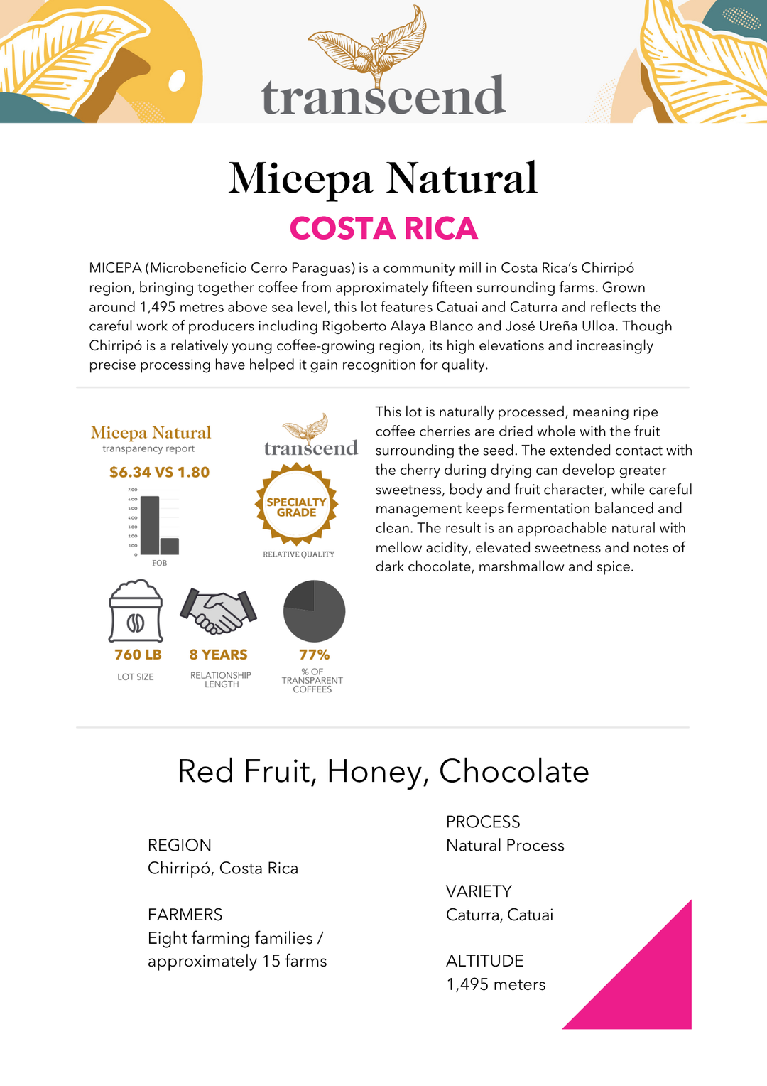 Transcend Coffee Micepa Natural Info Sheet. 