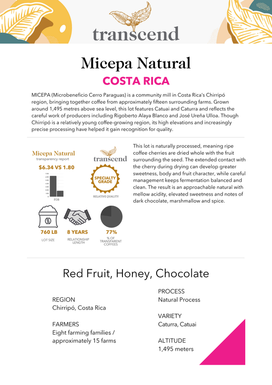 Transcend Coffee Micepa Natural Info Sheet. 