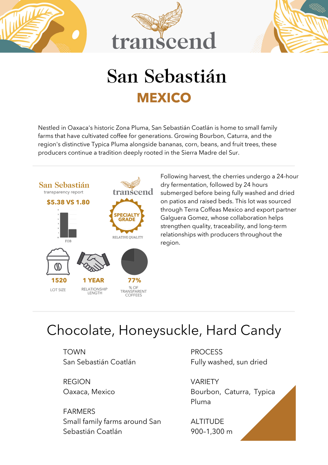 Transcend Coffee San Sebastián Info Sheet 