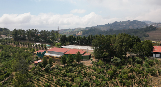 Aerial view of a rural landscape with rows of crops in the foreground, several buildings with red roofs near a cluster of trees, and hills in the background under a cloudy sky.