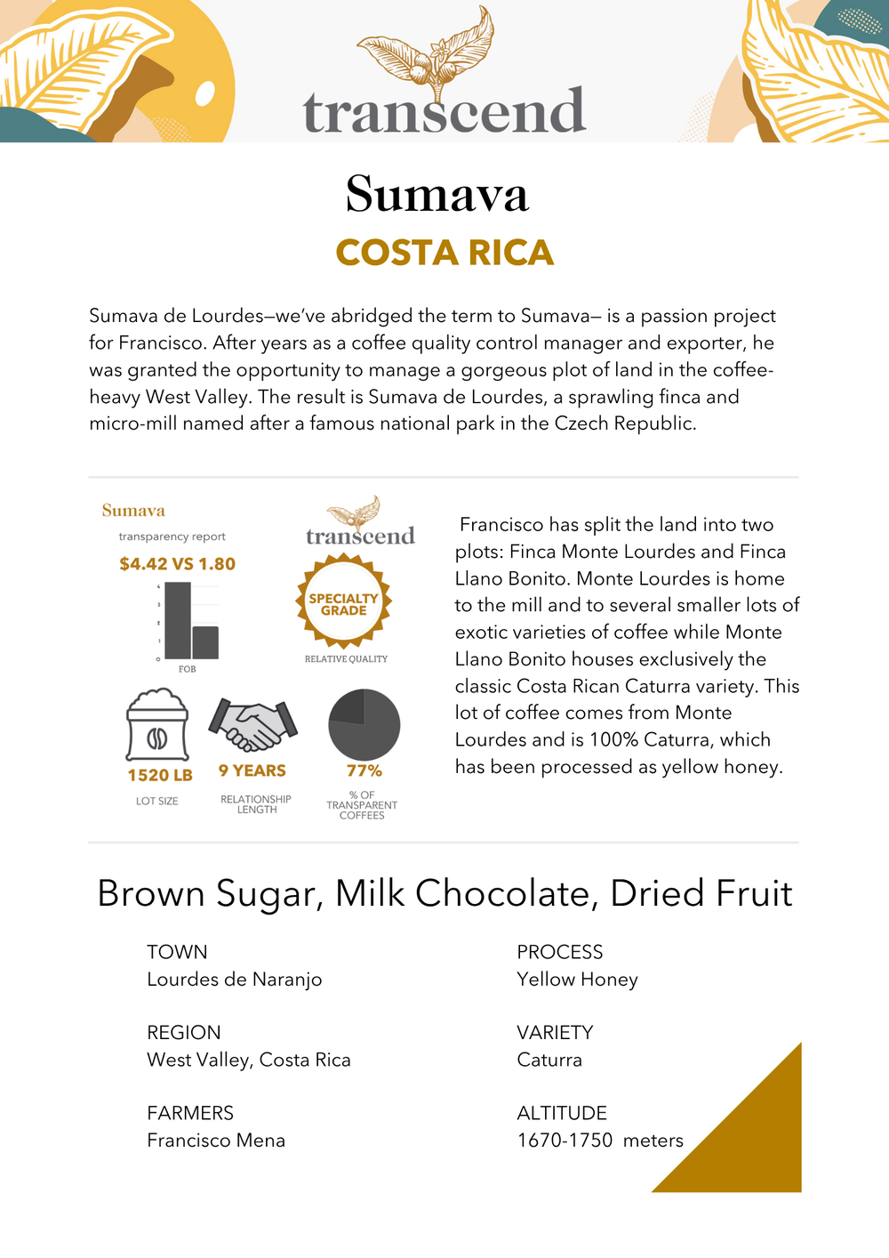 Transcend Sumava coffee product description with details on origin, flavor profile, and quality information.