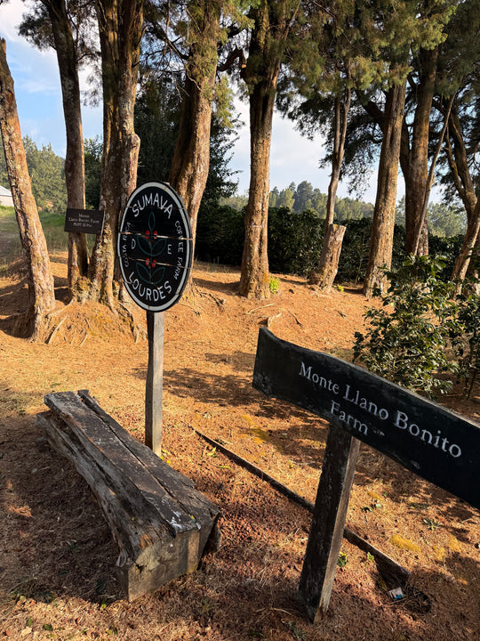 Sumava de Lourdes Sign