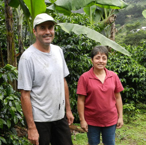 Photo of Juan Luis Fallas and Maria Eugenia Ramirez at their Farami coffee farm in Tarrazú, Costa Rica.
