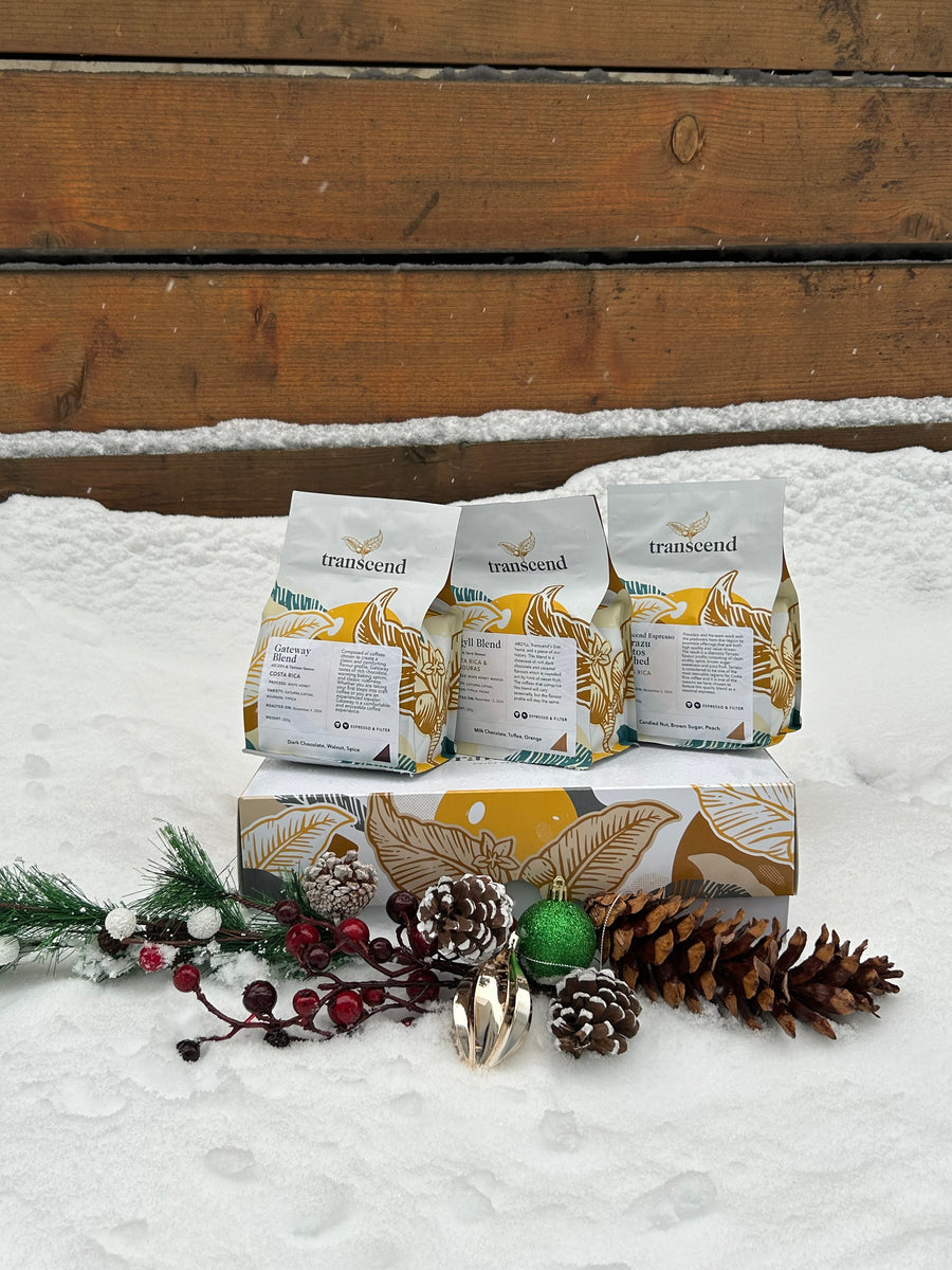 Three bags of Transcend coffee on a gift box in the snow