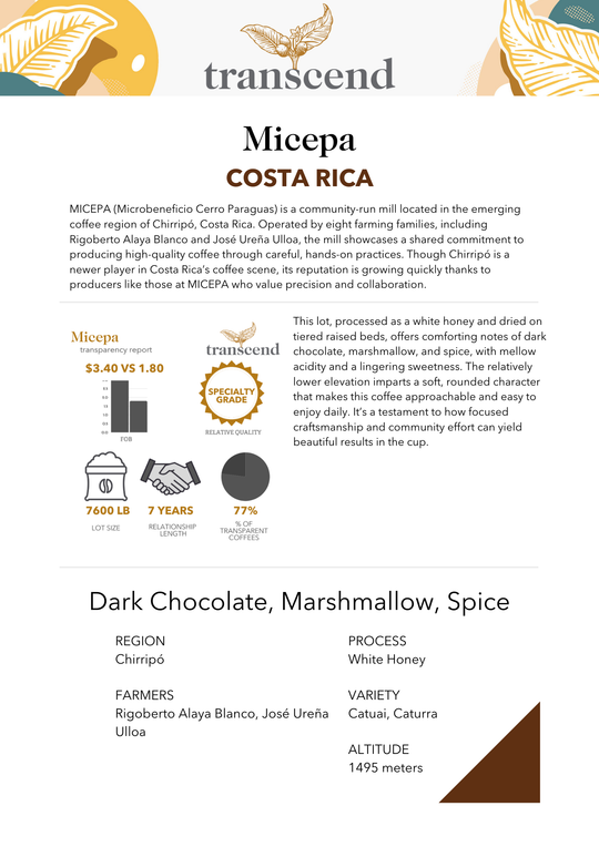 Info Sheet for Transcend's Micepa coffee, with origin and tasting notes. 