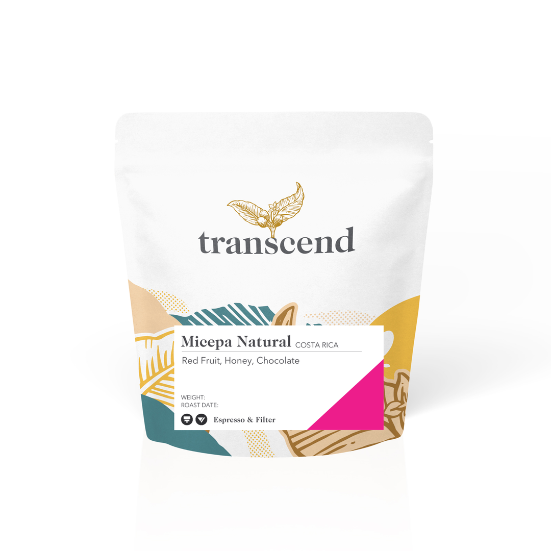 Sample Bag of Transcend Coffee
